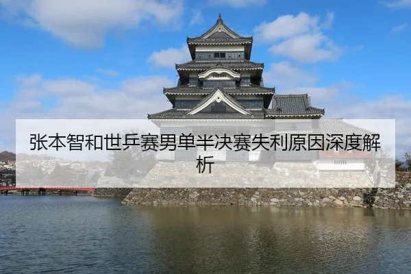 张本智和世乒赛男单半决赛失利原因深度解析
